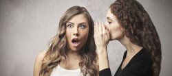обзор услуг самых популярных в Светлогорске интернет-провайдеров